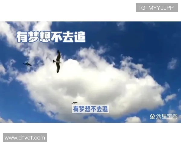 焦泊乔：探索人生的意义与追求梦想的勇气之旅