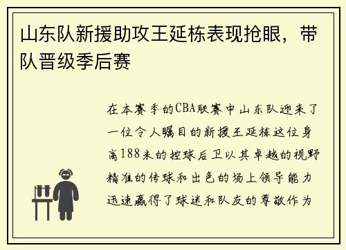 山东队新援助攻王延栋表现抢眼，带队晋级季后赛